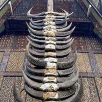 Exploring the Cultural Mosaic of TMII