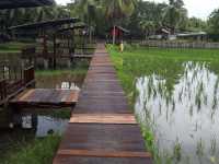 Laman Padi Langkawi