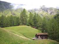 A Peaceful Escape: Animals, Flowers, and the Magic of Zermatt Village