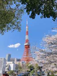 The Long-Awaited Sunny Day is Here!