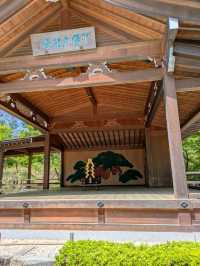 武田神社で心リセット。歴史感じる空気とおみくじ体験！