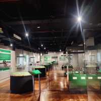 A Journey Through Nature: National Museum of Natural History 