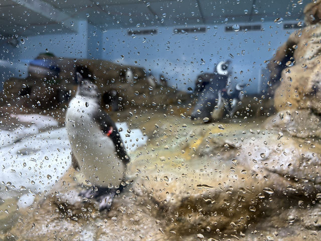 台灣厲害的水族館xpark半日遊