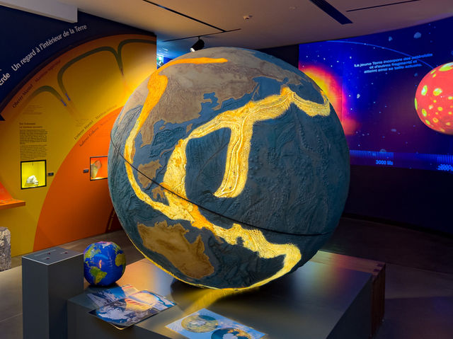 【学びと遊びの融合】国立自然史博物館（Museo di Storia Naturale di Venezia）🦖📖