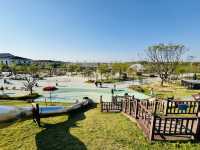 Play, Pets & Plants—Pyeongtaek Fun!