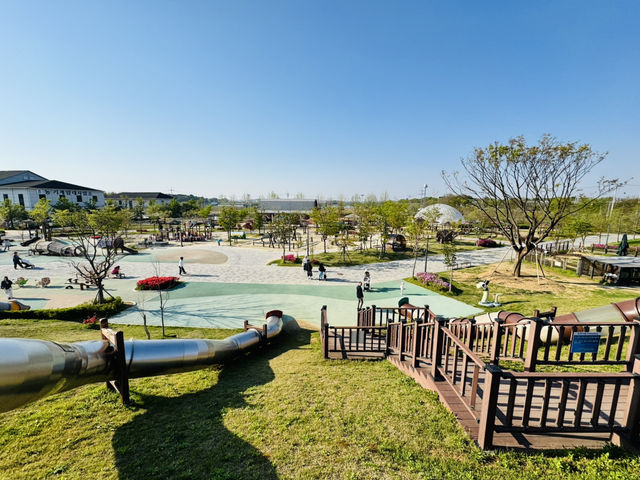 Play, Pets & Plants—Pyeongtaek Fun!