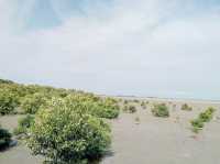 Tanjung Piai: Where the Eurasian Continent Kisses the Sea Goodnight" 🌏🌊