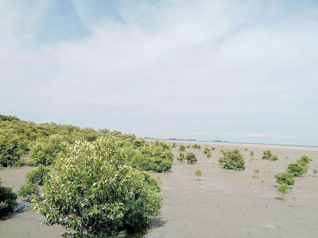 Tanjung Piai: Where the Eurasian Continent Kisses the Sea Goodnight" 🌏🌊
