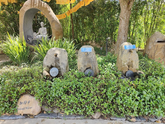 🧘‍♂️Peace & Pine Trees: My Soul Detox at Kechara Forest Retreat🌲✨