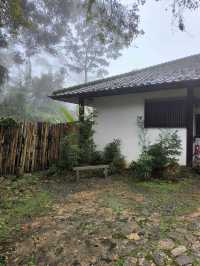 Lost in the Misty Beauty of a Japanese Village in Genting