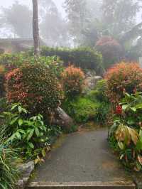 Lost in the Misty Beauty of a Japanese Village in Genting