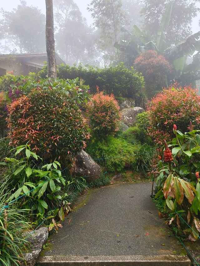 Lost in the Misty Beauty of a Japanese Village in Genting