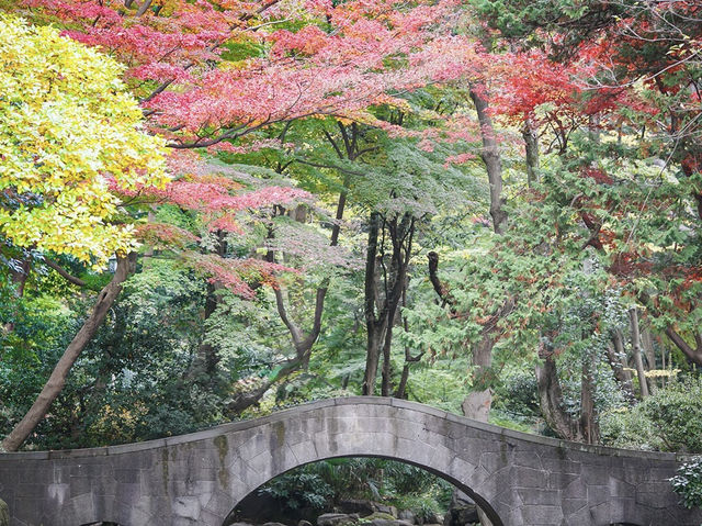 🌿 “Hidden Sakura Paradise: My Chill Day at Arisugawa Park!” 🌸✨