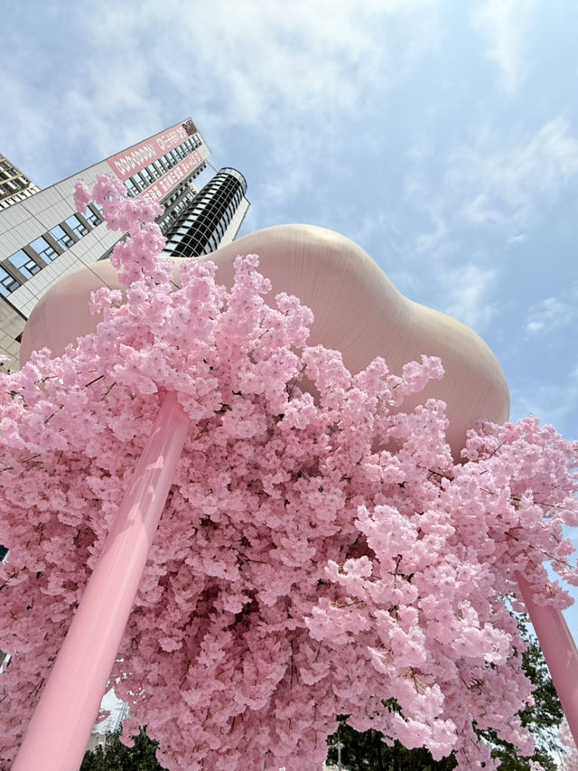 深圳偽櫻花商場🌸拍照📷
