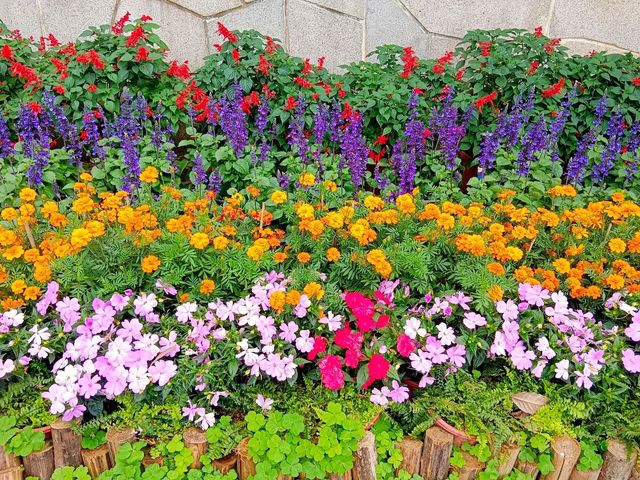 Guangzhou South China National Botanical Garden 