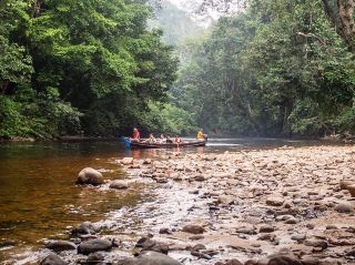 🌿🚤 Taman Negara River Cruise Review: A Jungle Adventure!