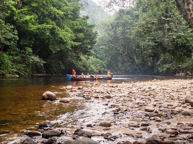 🌿🚤 Taman Negara River Cruise Review: A Jungle Adventure!