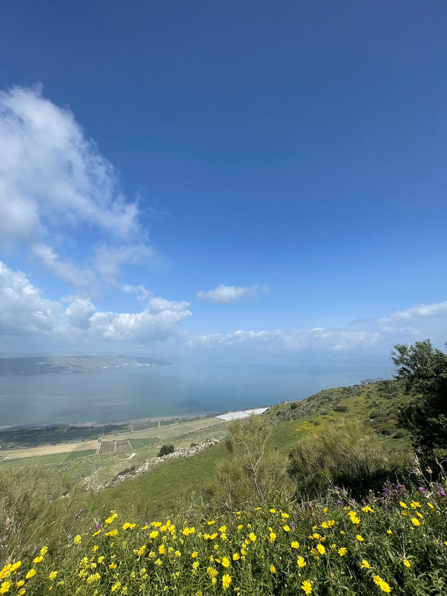 Peaceful Flow Ben Tal