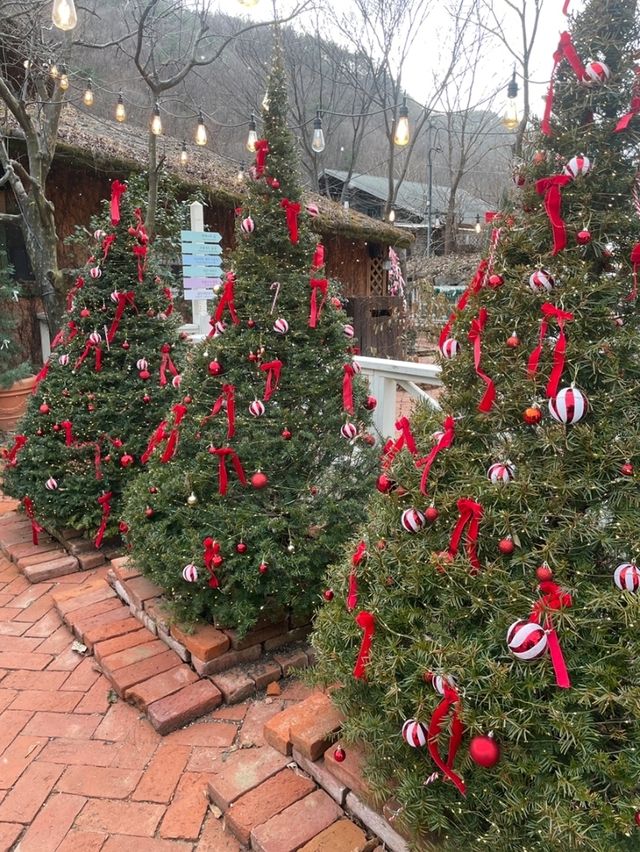 [🇰🇷テグ]リベボール – センジュのクリスマスカフェで幻想的なひとときを