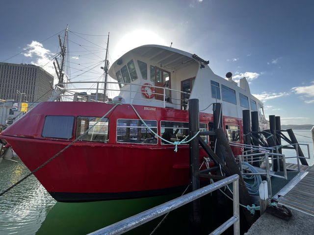 Explore the beauty of Hobart Tasmania 