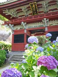 【栃木】紫陽花の人気スポット 仁王門と紫陽花、花手水など