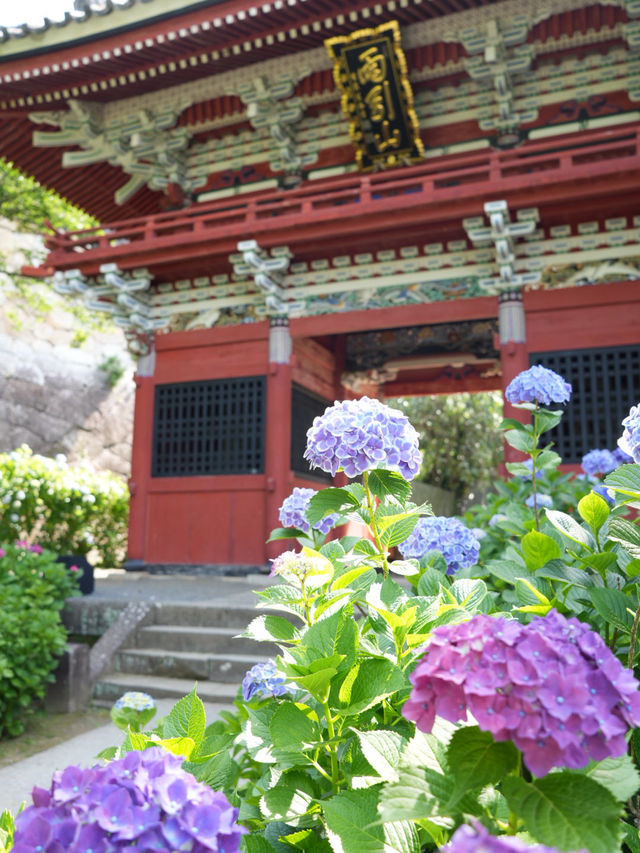 【栃木】紫陽花の人気スポット 仁王門と紫陽花、花手水など
