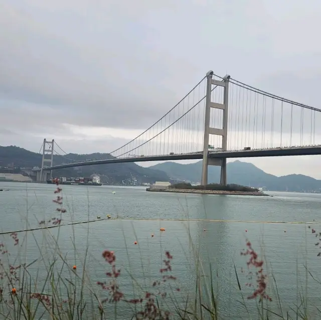 處處都是青馬大橋的美景