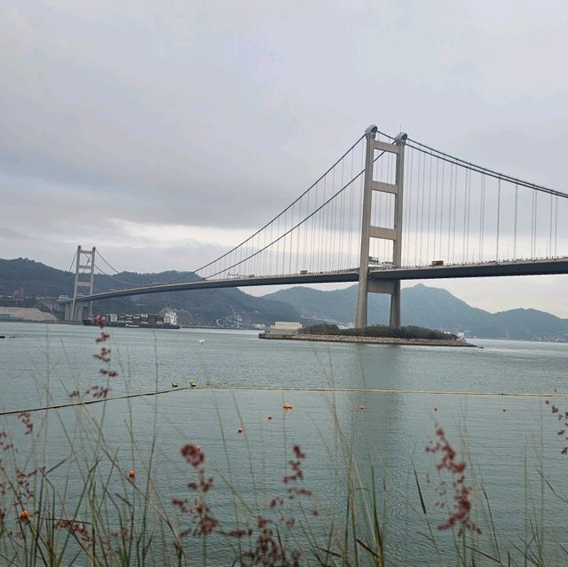 處處都是青馬大橋的美景