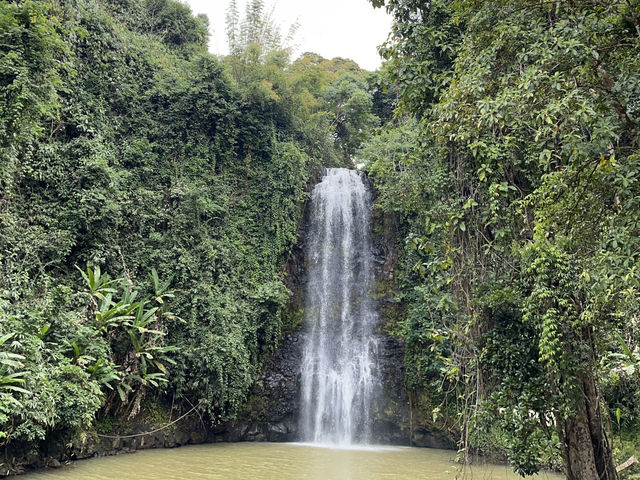 THÀNH PHỐ PLEIKU 2N1Đ