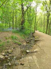 Golden Acre Park
