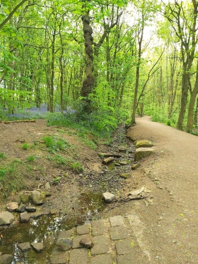 Golden Acre Park