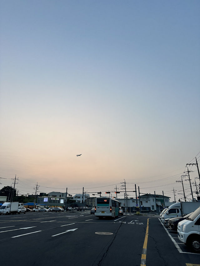☀️今個夏天來一個韓劇《苦盡甘來遇見你》：故鄉濟州之旅🐟🌊