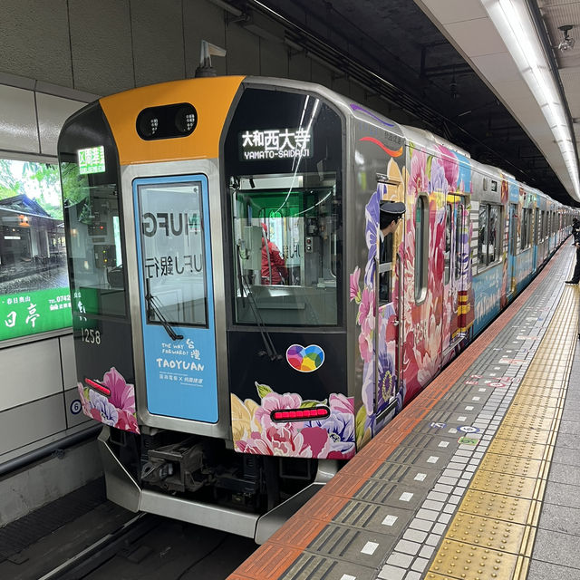 日本奈良半日遊🇯🇵