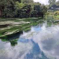 A Hidden Gem That Lives Up to the Hype – Blue Spring Magic