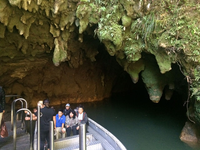  紐西蘭 Waitomo Glowworm Caves：一場地底星空的靜默奇遇
