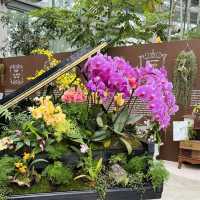 natural view in Yeomiji Botanical Garden