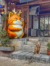 Time Slows Down: A Peaceful Spring Walk in Baisha Old Town