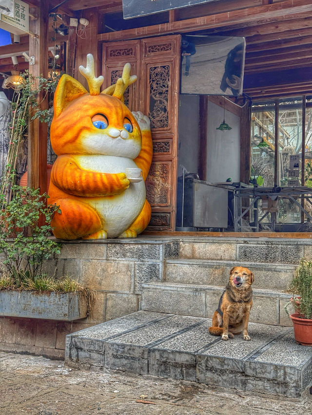 Time Slows Down: A Peaceful Spring Walk in Baisha Old Town