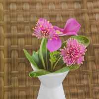 ดอยปลายรุ้งคาเฟ่