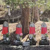 Time machine : Hida no Sato Open Air Museum