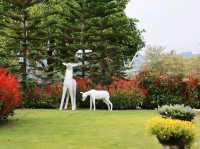 The peak flower land