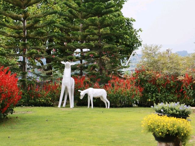The peak flower land