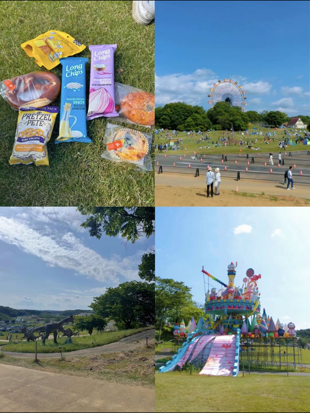 【千葉県】都内から車で約1時間！ネモフィラまだの人は週末ここ行って🥳🩵🦋【ドイツ村】