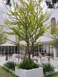 Double 3 Craft Cafe คาเฟ่หาดใหญ่ สงขลา
