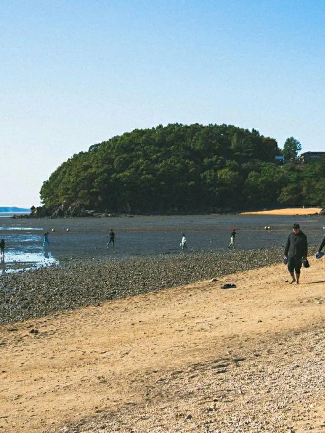 Incheon: Korea’s Coastal Gateway in Full Bloom