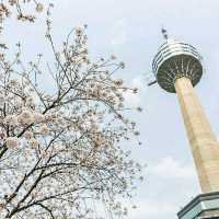 Daegu: Korea’s Secret Spring Sanctuary