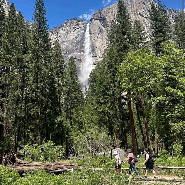 Yosemite National Park – CA