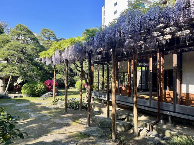 The Former Ozawa Family Residence