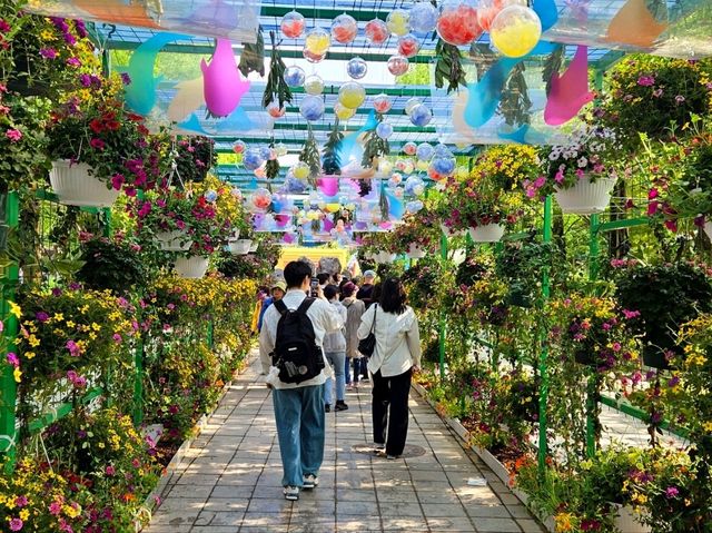 The flower festival with a big bear at Ilsan Lake, Goyang si