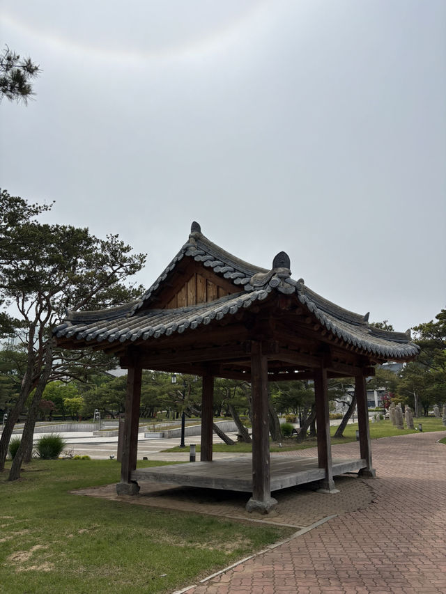 전주사는 사람이면 꼭 가보는 야외 데이트 장소🥹